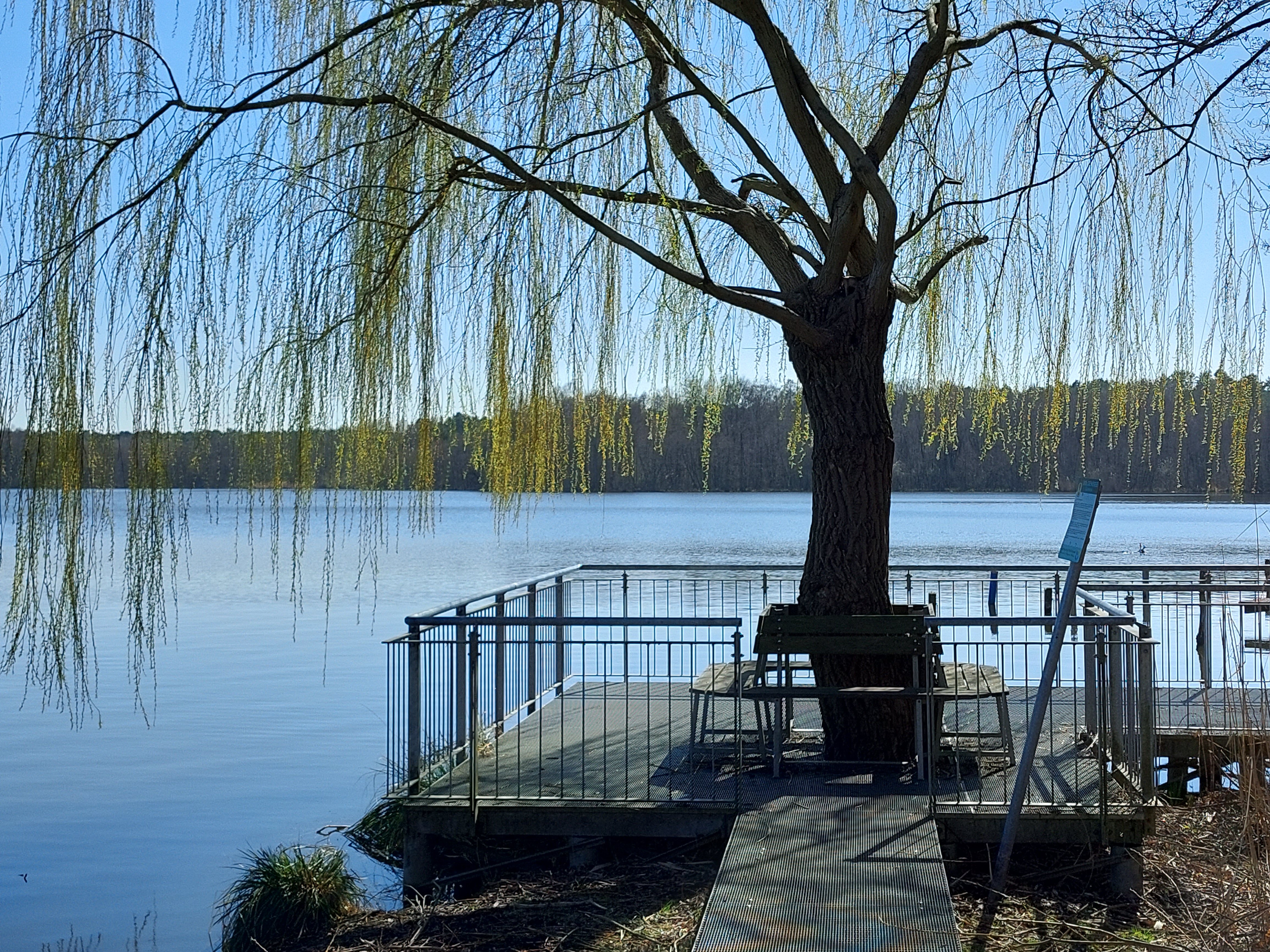 Header-Frühling