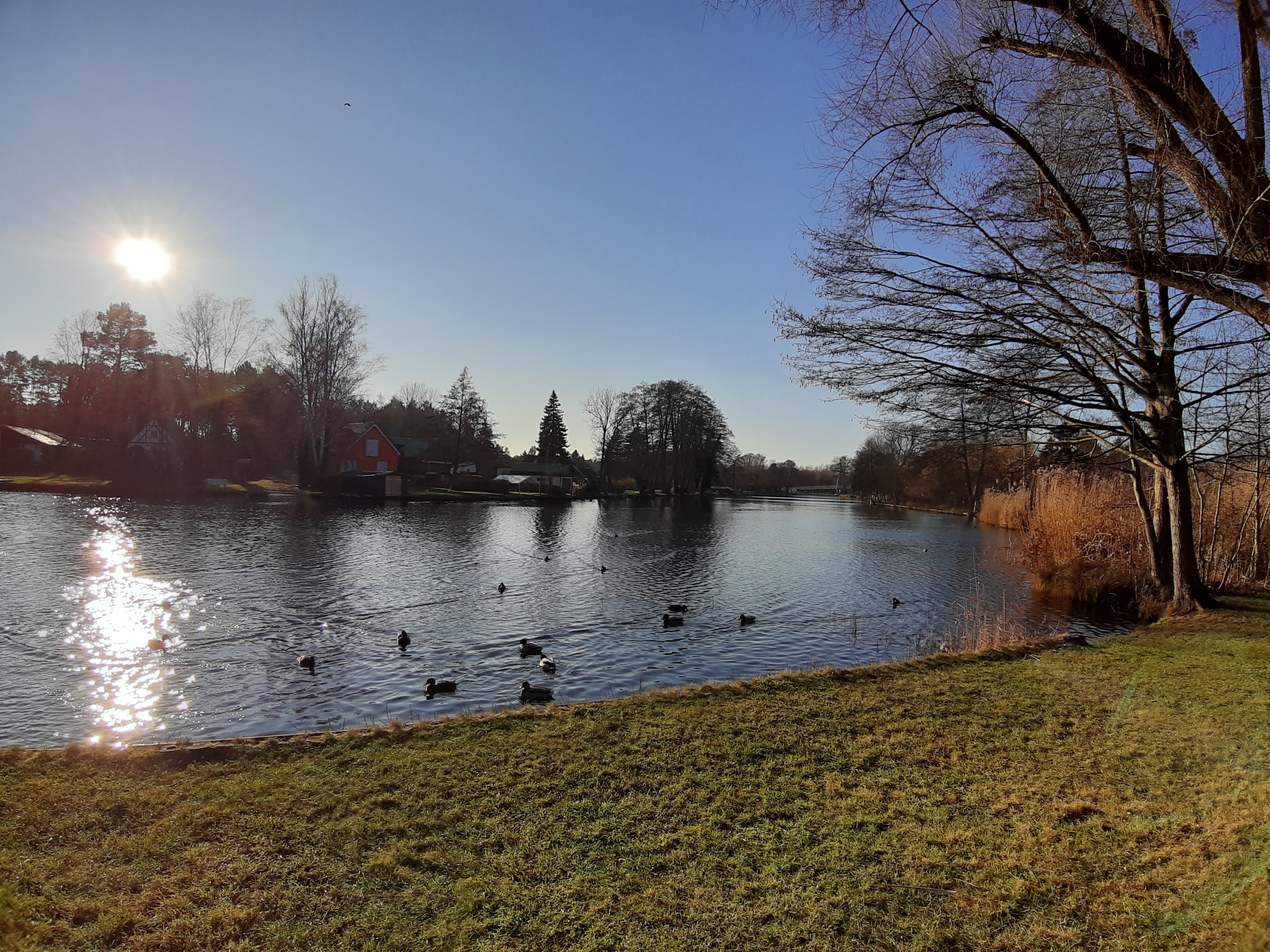 Header-Frühling2
