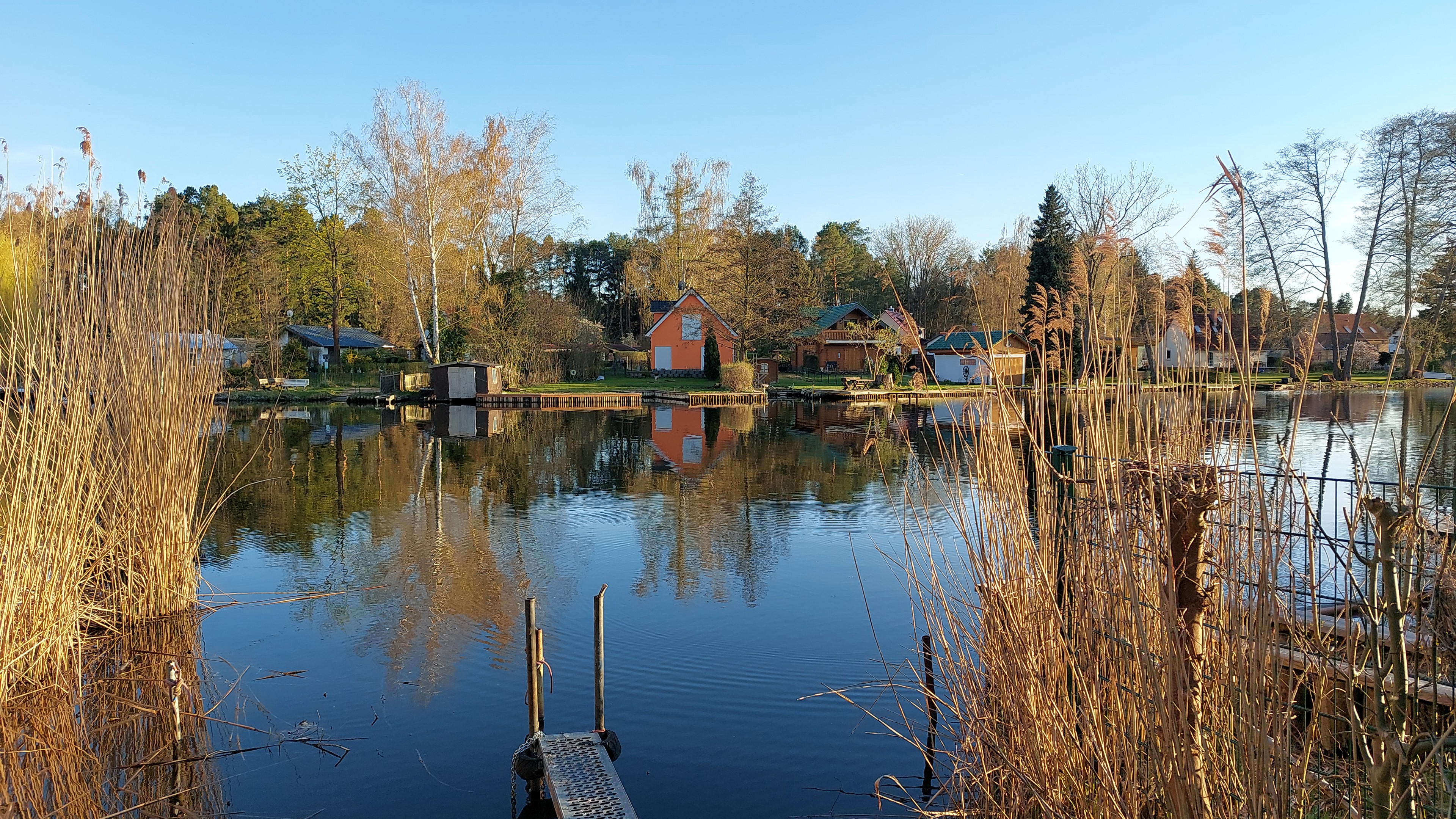 Header-Frühling7