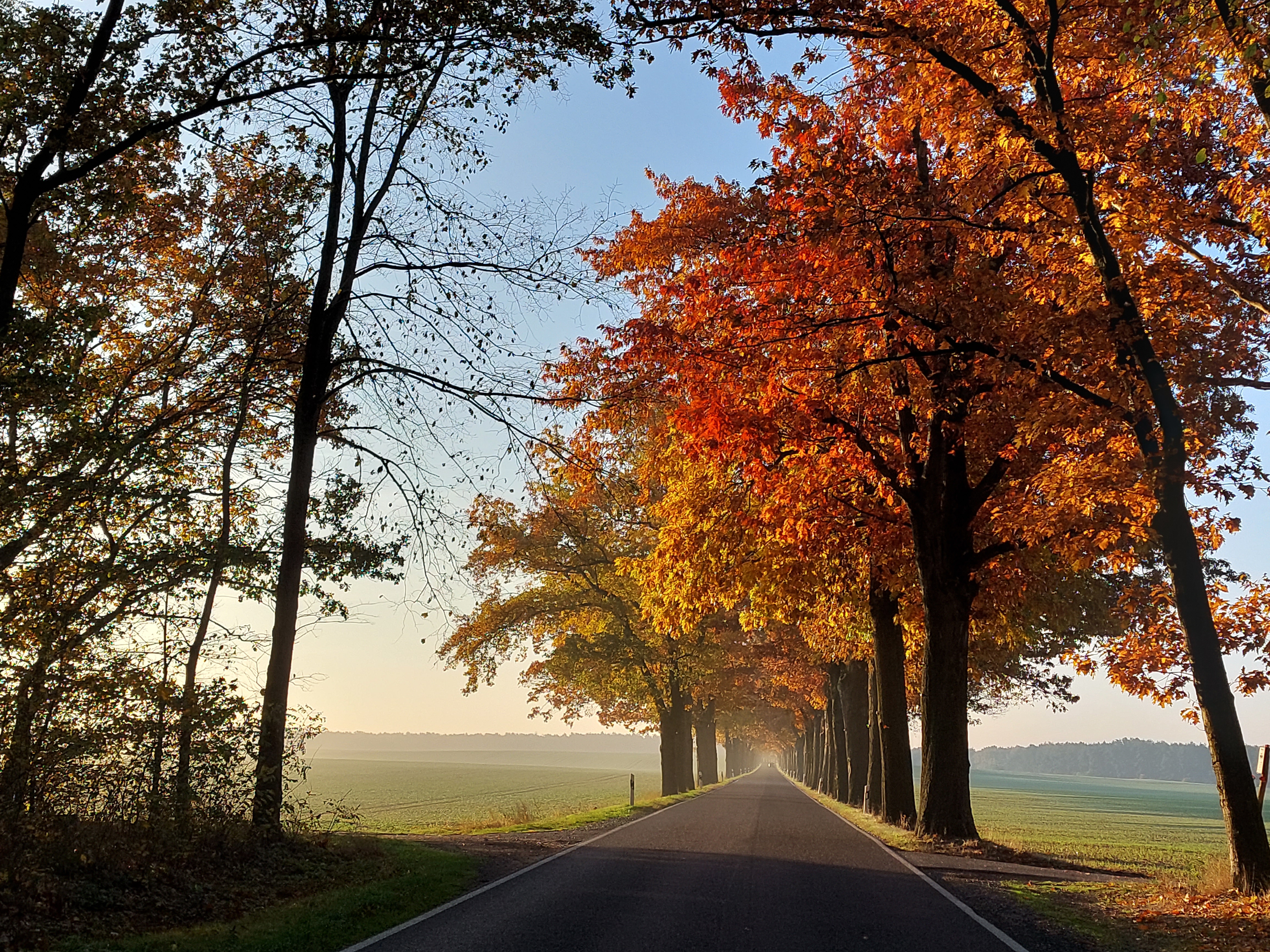 Header-Herbst1